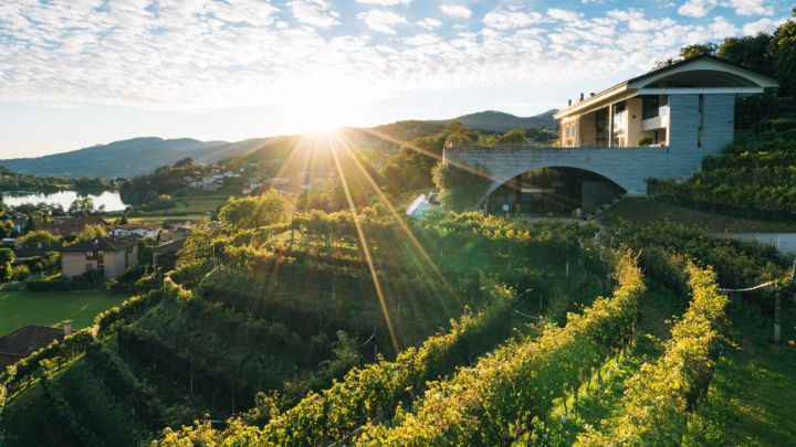 5 cellars with fascinating architecture 5酒窖迷人的架构