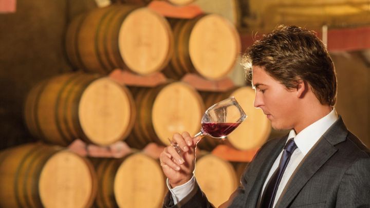 Explore the world of Ticino wines 探索世界的提契诺葡萄酒半岛官方app下载