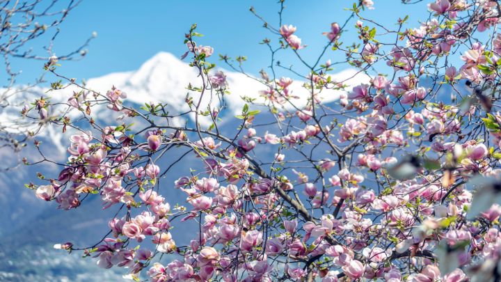 5 hikes with a view of snowy peaks 5提高一个视图的雪峰