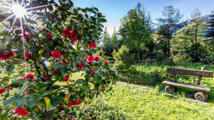 10 Easter activities to do in Ticino 在提契诺10复活节活动半岛官方app下载