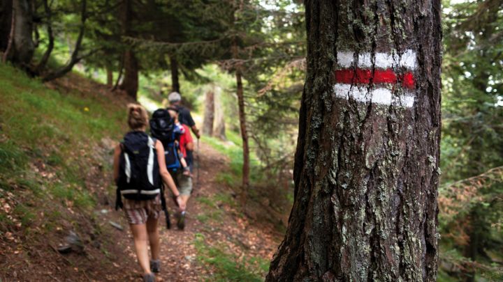 5 hikes in the shade of the forest 5提高森林的阴影