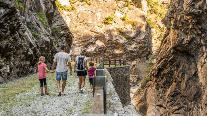 5 child-friendly trails 5对轨迹