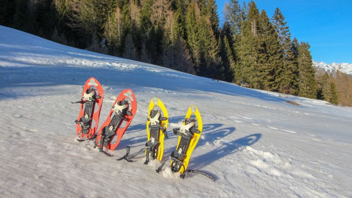 5 winter excursions 5冬季远足
