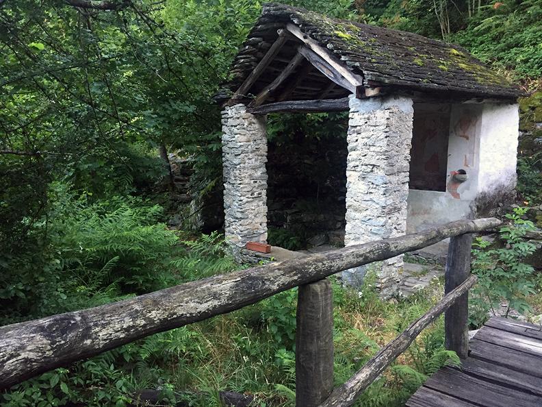 Image 0 - Waldreservat Bosco di Maia 图0 - Waldreservat黄宗泽di玛雅