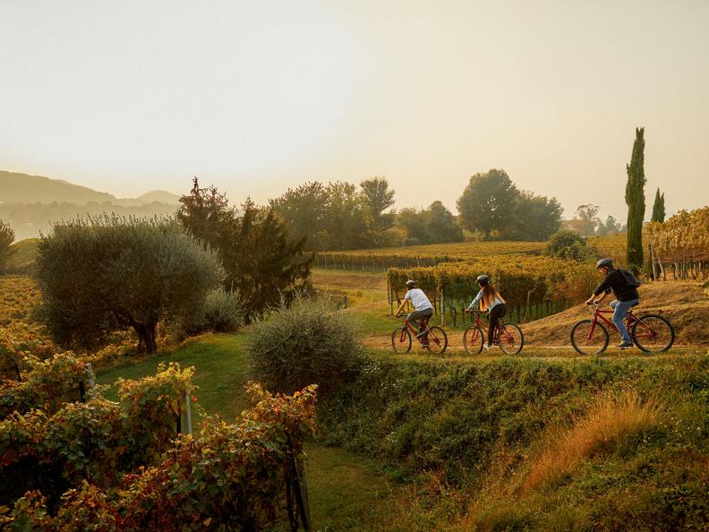 Image 0 - Bike&Wine Mendrisiotto 图0 - Bike&Wine Mendrisiotto