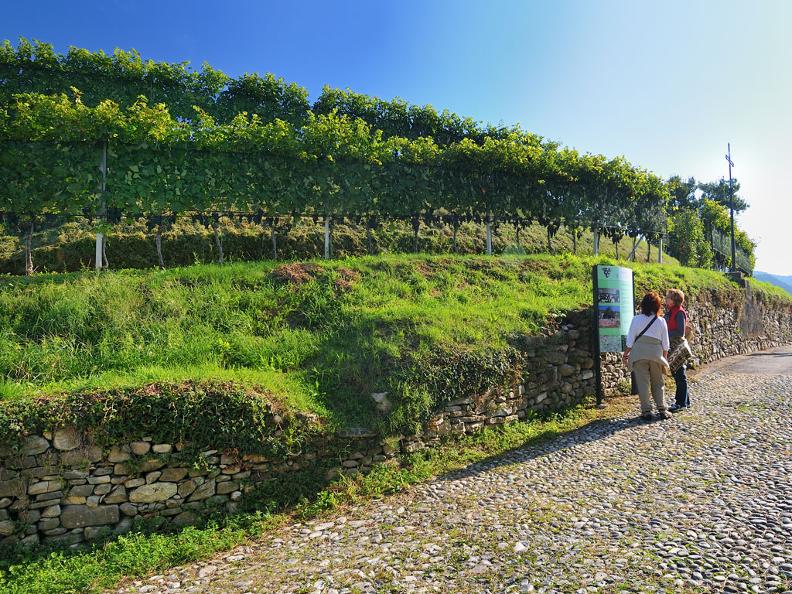 Image 0 - Weinwanderungen 图0 - Weinwanderungen