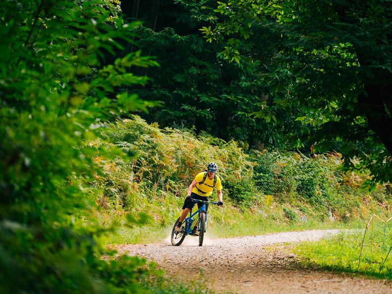 Image 0 - Castagno Bike 图0 -卡斯塔尼奥自行车