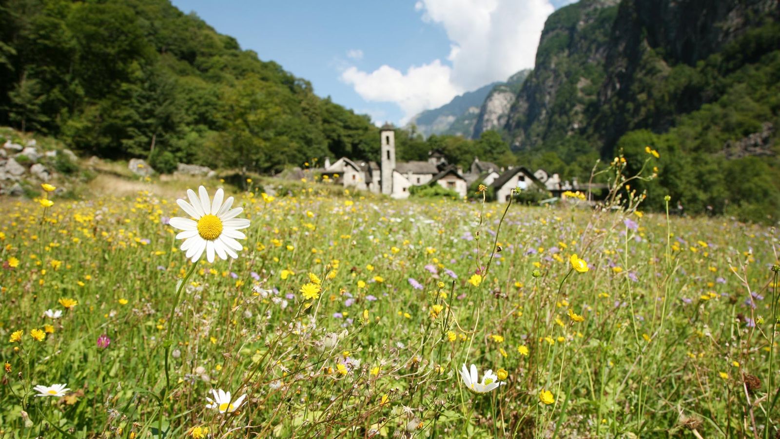 Foroglio, Bavonatal