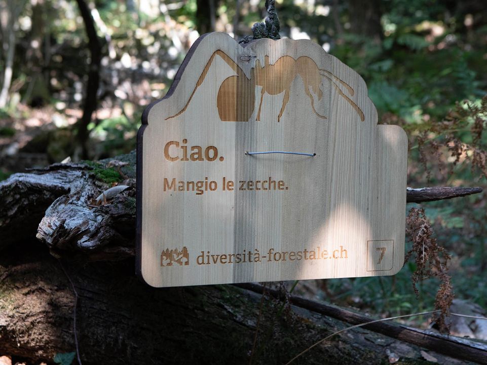 洛达诺山谷