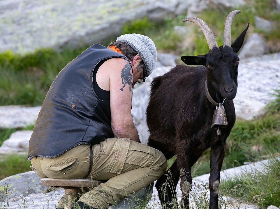 Alpe Nimi, Vallemaggia