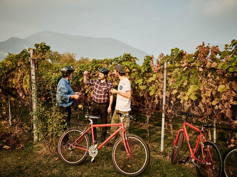 图片3 - Bike&Wine Mendrisiotto