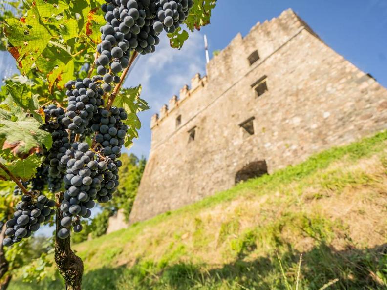 图1 - Tenuta Castello di Morcote
